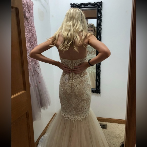 Dresses & Skirts - Strapless nude/pink Lace Gown